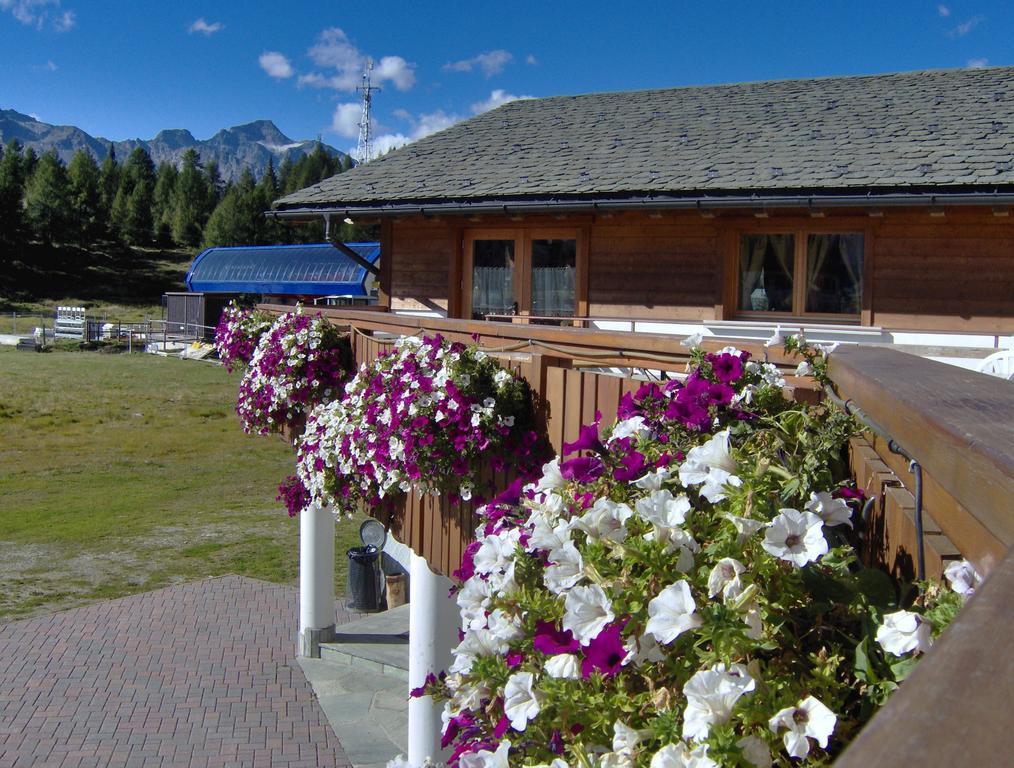Albergo Bucaneve Campodolcino Exterior photo
